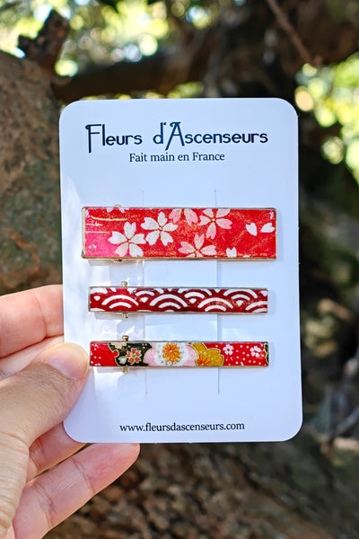 TRIO de petites pinces WASHI Avril