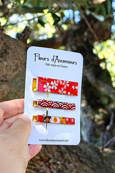 TRIO de petites pinces WASHI Avril